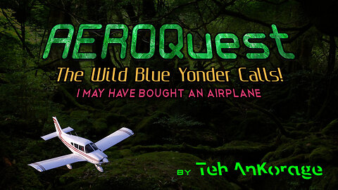 I May Have Bought An Airplane. BUT WHY?! #aviation