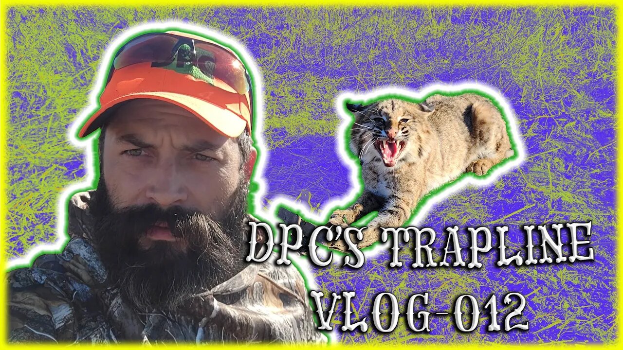 DPC'S Trapline Vlog-012 | 22nd Check(1 Coyote, 1 Cat)