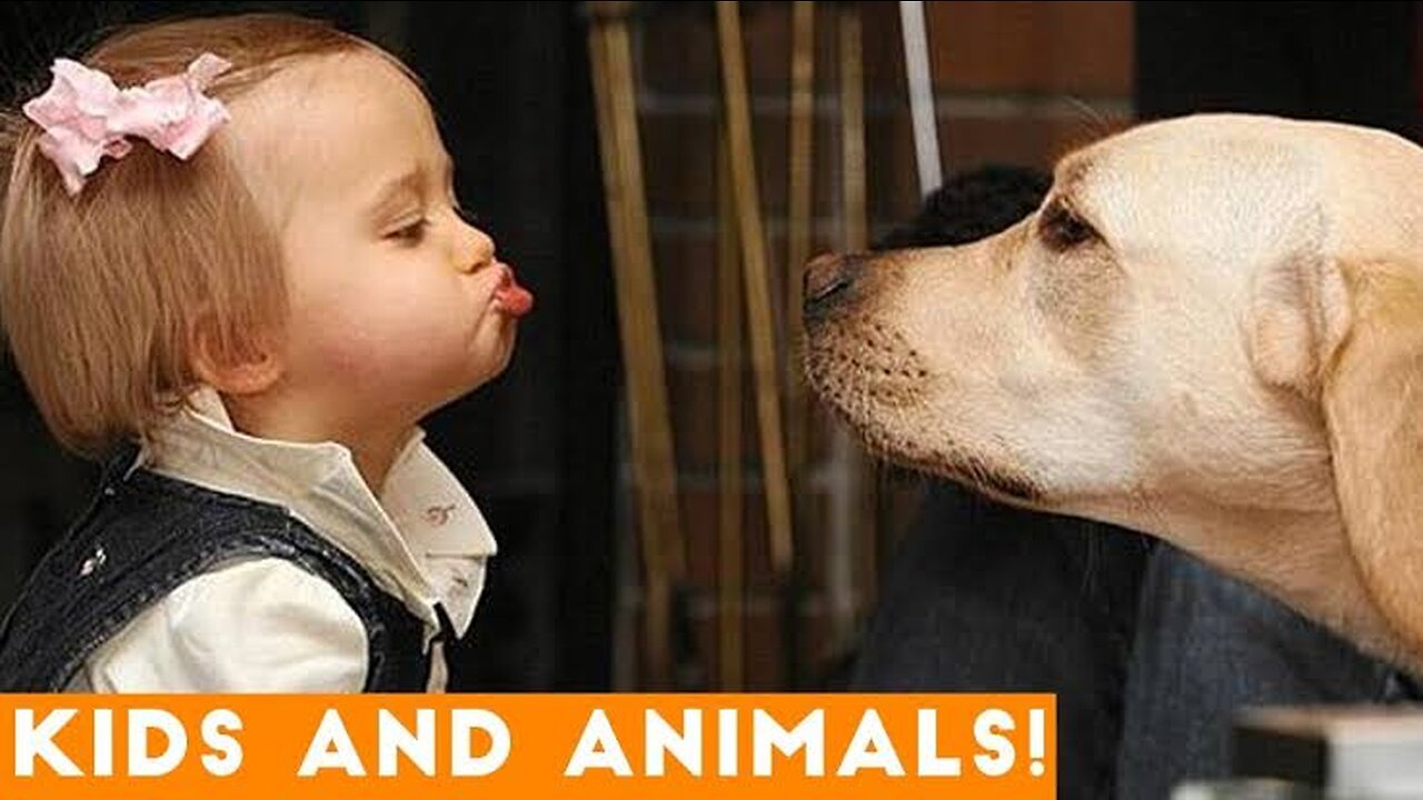 Cute children plays with Dogs funny animals- kids and animals