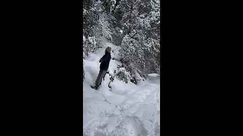 Chilling out in snow