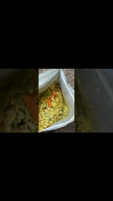 PEAK freeze dried foods, recommended!