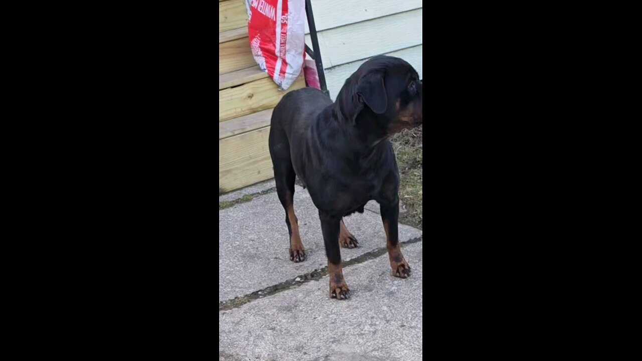 mom ZEKIBOA-Doneyuno