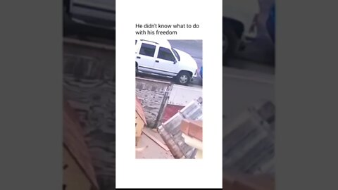 he's #the #one #and #only D-O double G #memedodoubleg #no #law #and #order