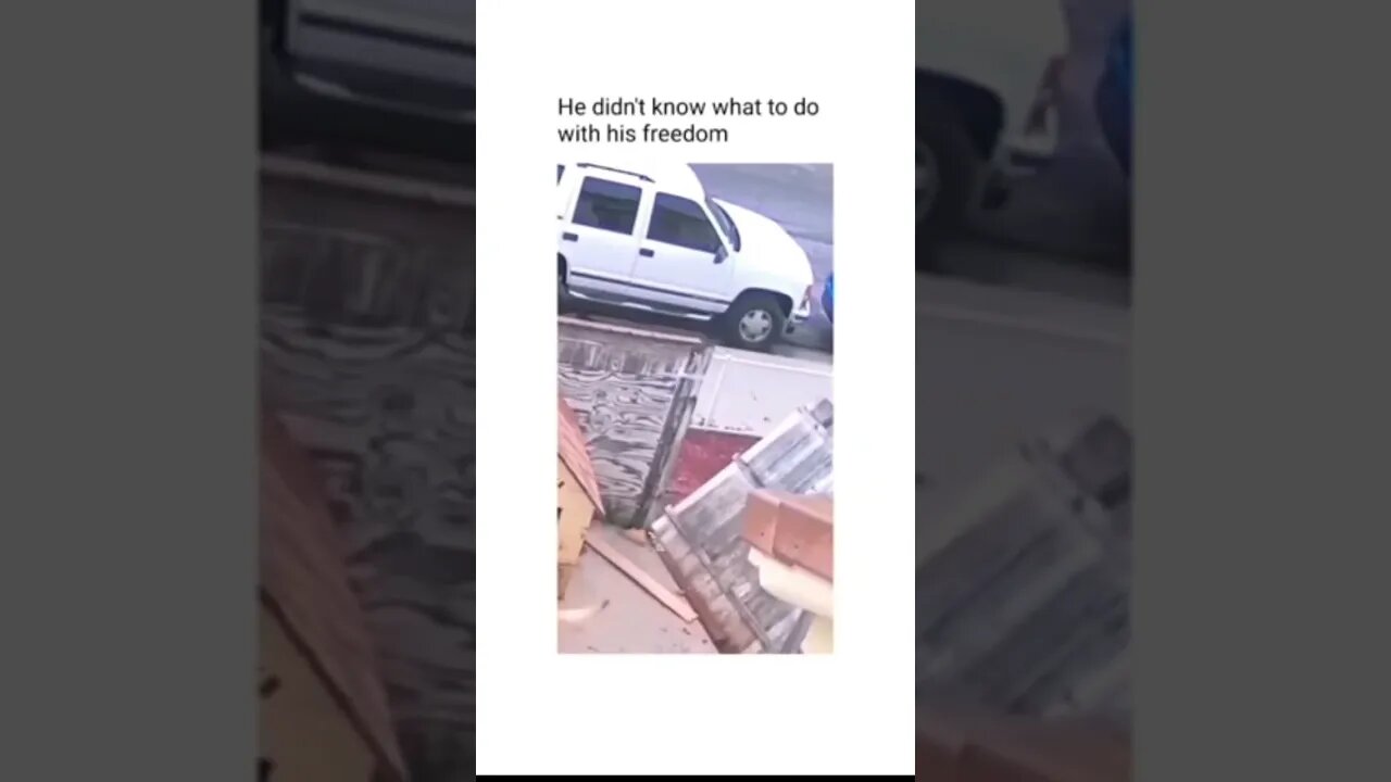 he's #the #one #and #only D-O double G #memedodoubleg #no #law #and #order