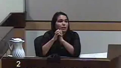 Ryan Geraldo before Clark County Family Court Judge Denise Gentile 8/23/17 2