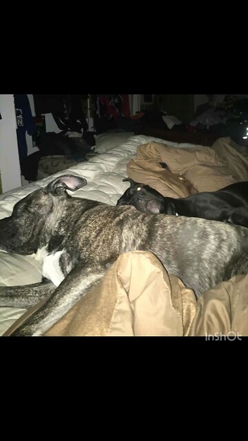 Bell and Baker (communist hunters)