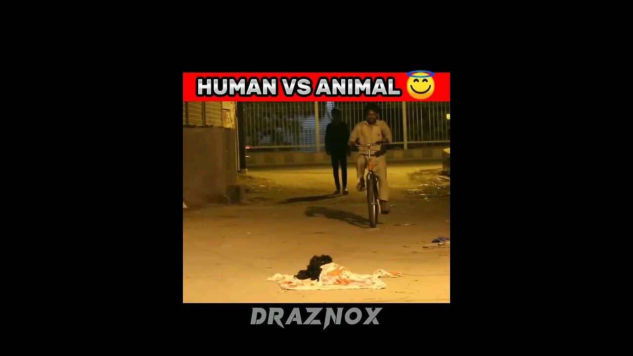 POV:-HUMAN VS ANIMAL 👻👊