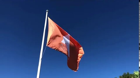 Alliansen heiser flagget!