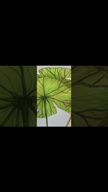 lily pad watercolour #shorts #artistshorts #lilypad #watercolor #art