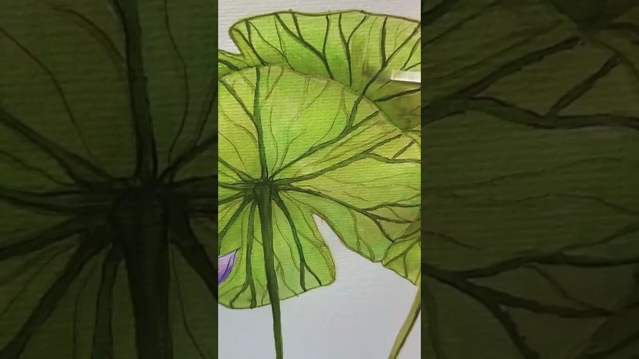 lily pad watercolour #shorts #artistshorts #lilypad #watercolor #art