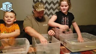 Monster Truck Freeze Challenge