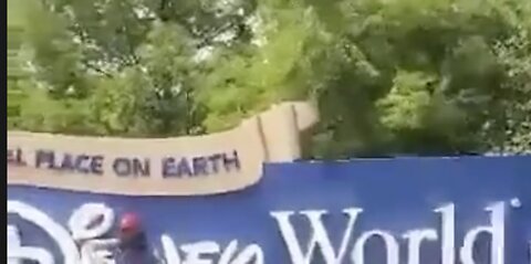 Disney World Gets Makeover from Anti-Grooming Protesters