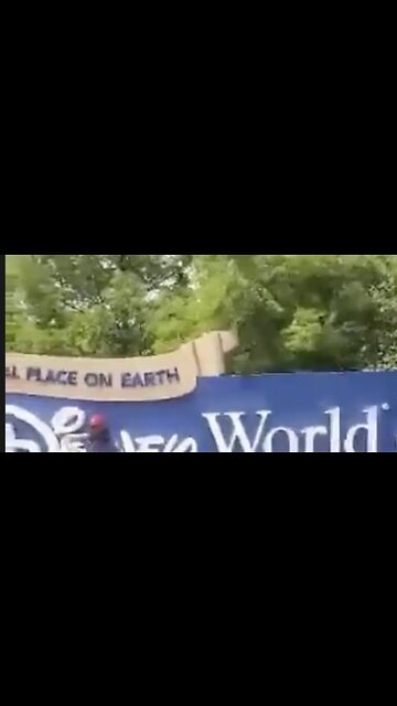 Disney World Gets Makeover from Anti-Grooming Protesters