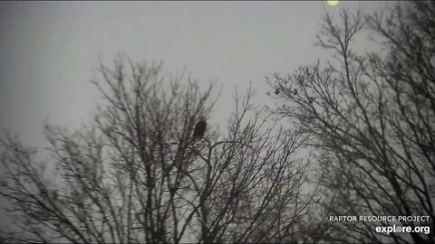 Decorah Mom and DM2 wake up to a blanket of snow. 11-10-19