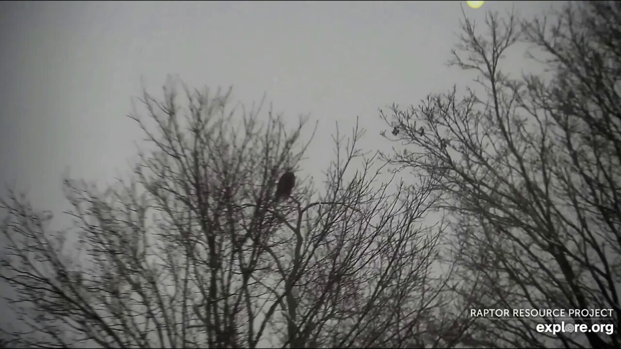 Decorah Mom and DM2 wake up to a blanket of snow. 11-10-19