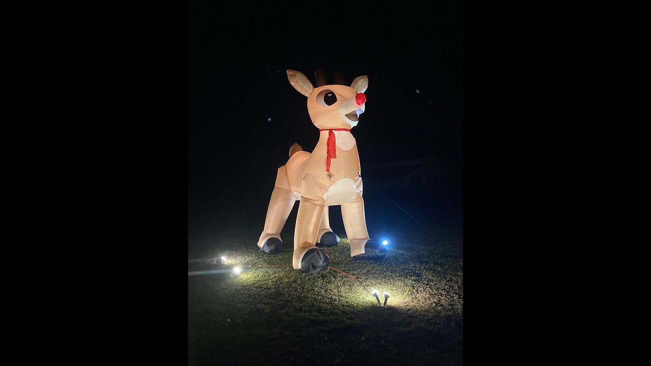 Rudolph Colossal Blow Up! Days of Prep & Fun. 14+ Feet Of Pure Christmas. Extra Lamps Really Help.