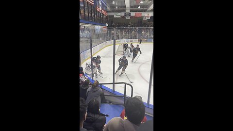 Ice Dogs in Alaska Fairbanks