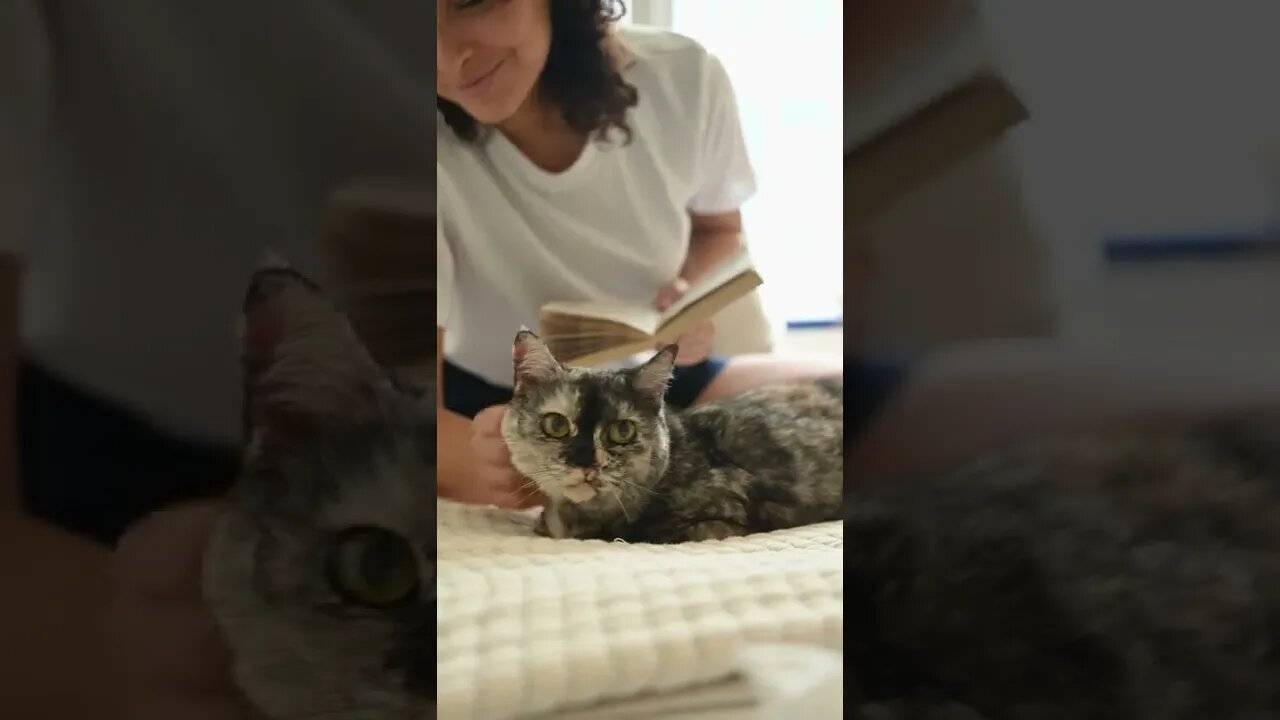 KUCING LUCU #PART 61