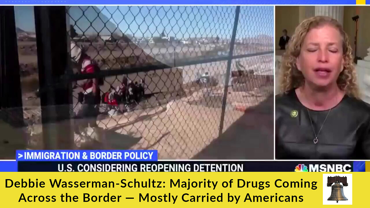 Debbie Wasserman-Schultz: Majority of Drugs Coming Across the Border — Mostly Carried by Americans