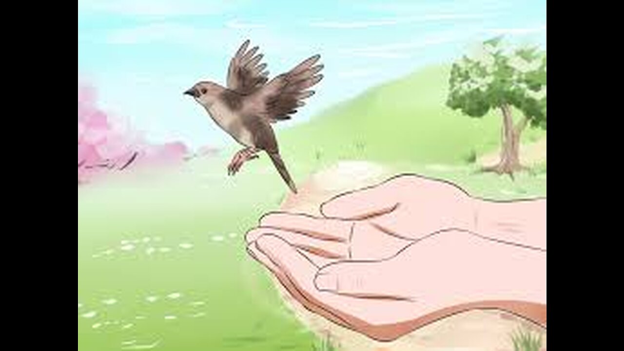 A trained sparrow