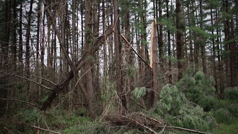 Milan, Indiana Tornado 3/2022