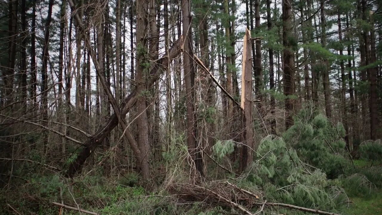 Milan, Indiana Tornado 3/2022