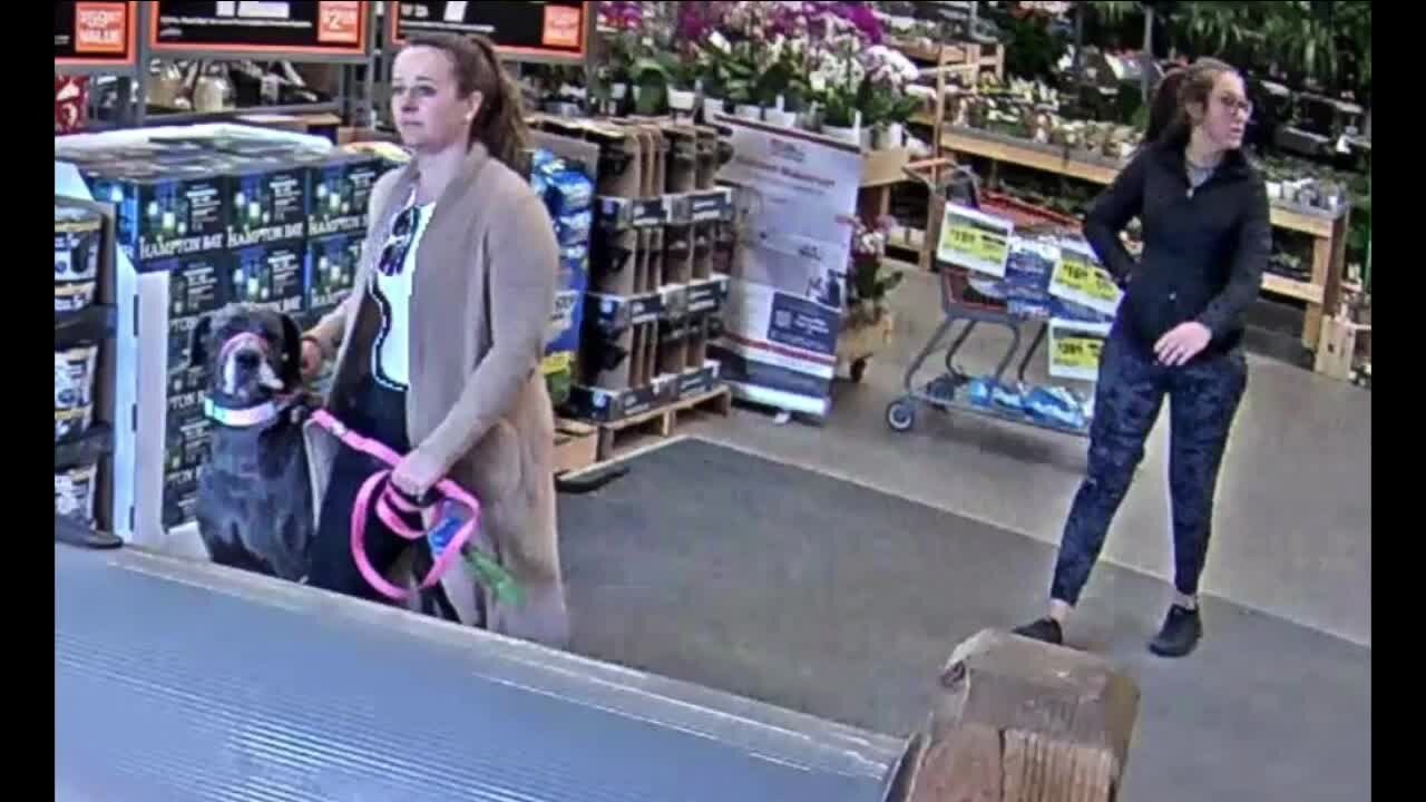 Owner whose dog attacked woman at Home Depot could be charged, deputies say