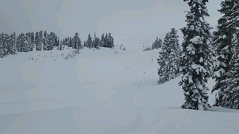Deep powder Smowmobiling