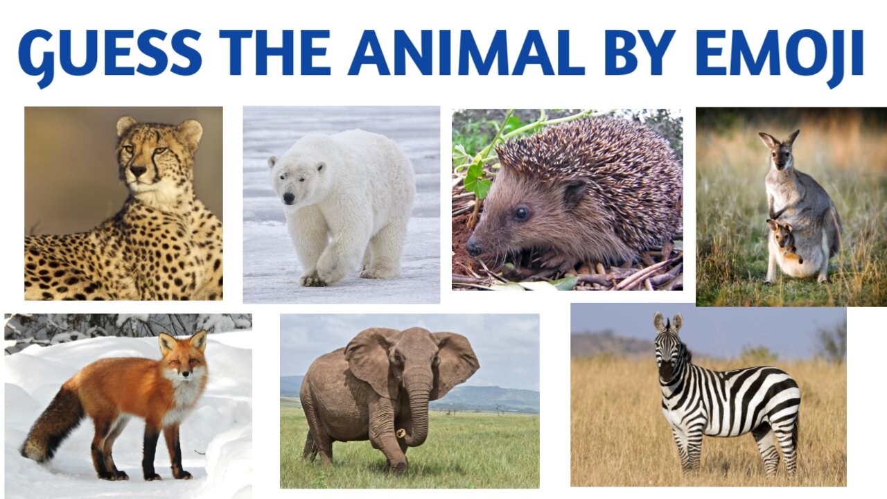 Guess the animale by emoji