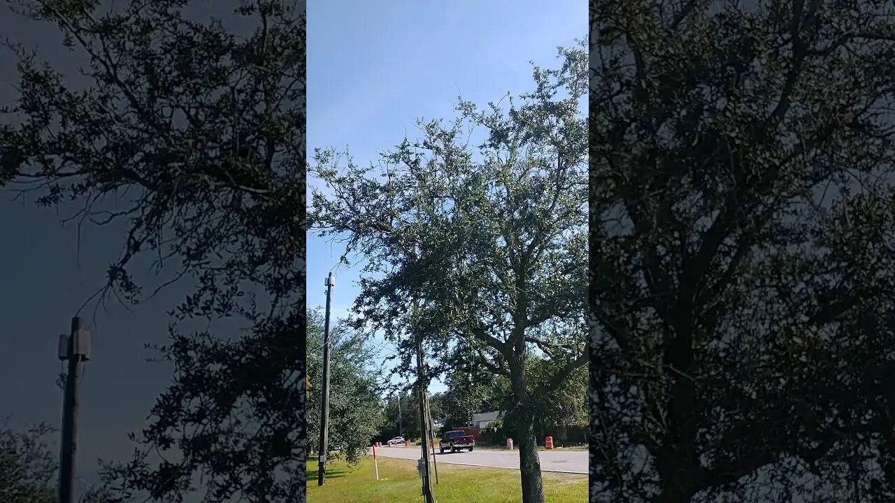 Chemtrails 11/03/2021