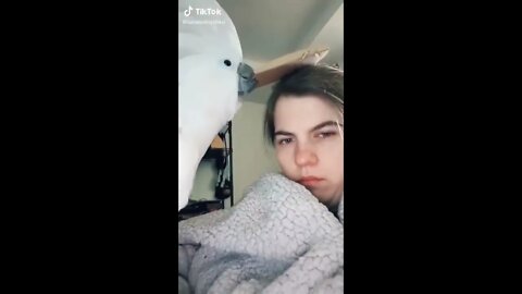 Get a Bird They Said...