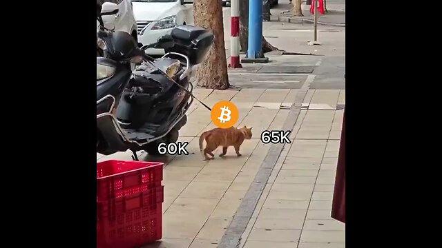 BITCOIN MOOD 😂