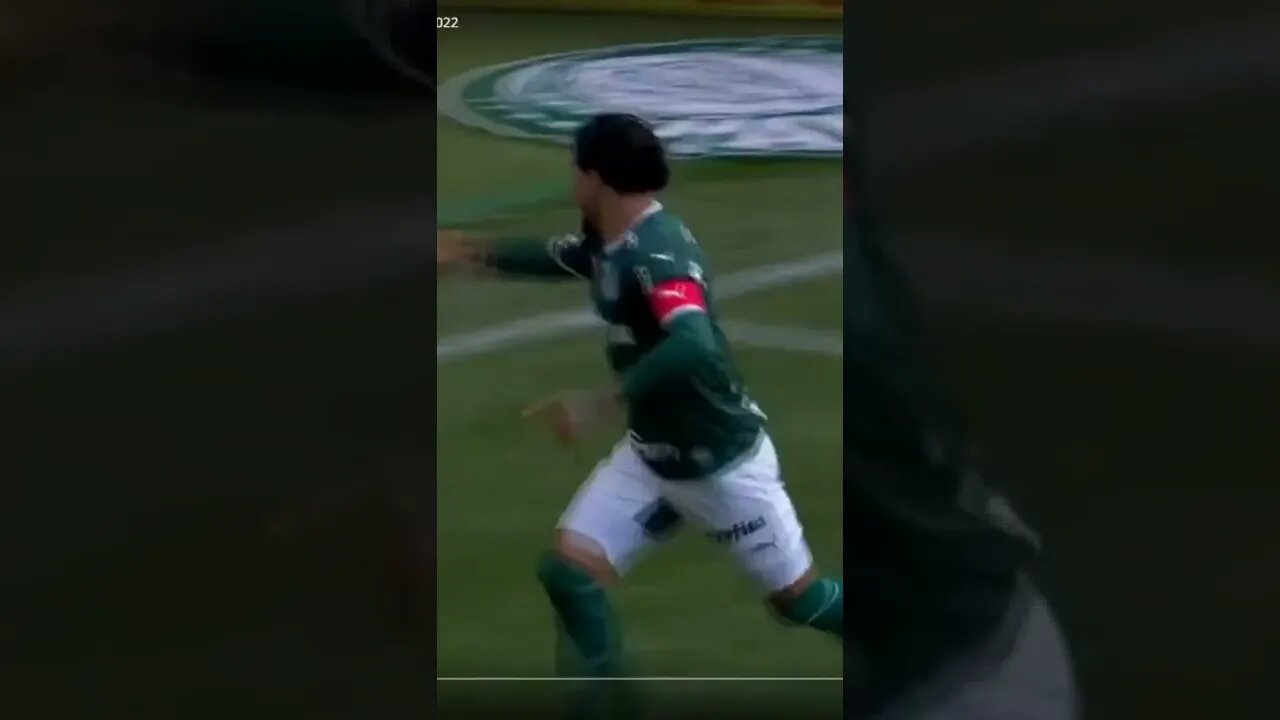 Gustavo Gomes raises the Uruguayan flag, pal x int #palmeiras #palmeirasaovivo #shorts