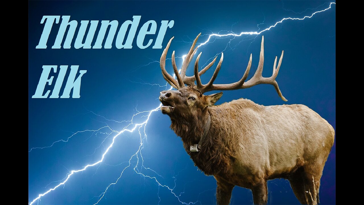 Thunder Elk - Bull Elk Bugling in Storm