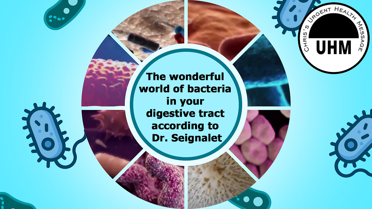 The wonderful world of bacteria in your gut according to Dr. Seignalet