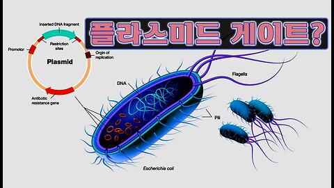 오스트리아 방송에서 다루는 백신 오염