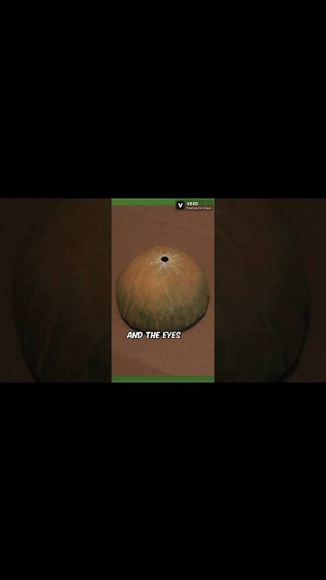 The Space Squid Puppet #kidsvideo #childrensbooks #puppet