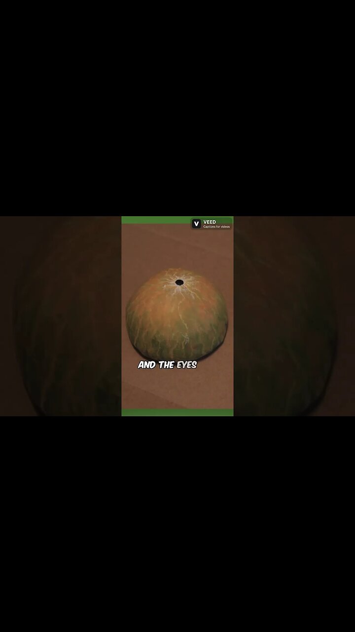 The Space Squid Puppet #kidsvideo #childrensbooks #puppet