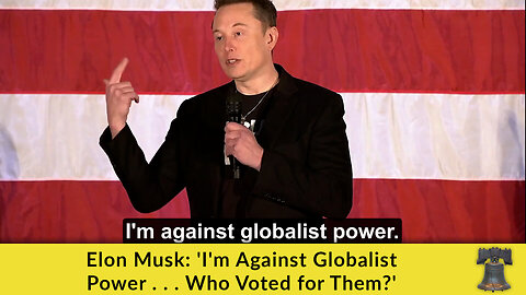 Elon Musk: 'I'm Against Globalist Power . . . Who Voted for Them?'