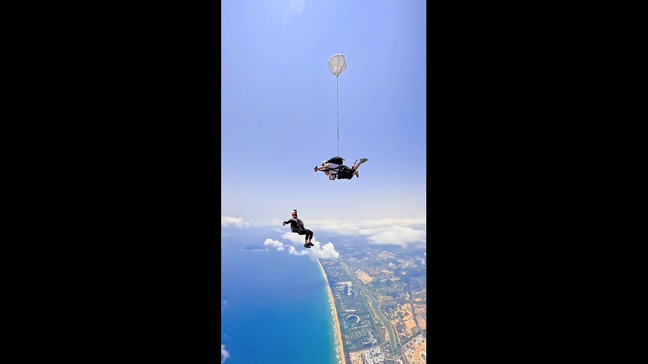 enjoy