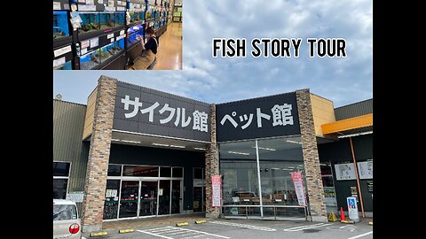 aquarium fish store in japan .fish store tour