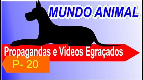 Propagandas e Vídeos Engraçados / P - 20