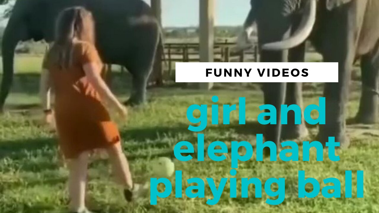 🤵‍♀️Girl And Elephant Playing Ball😁