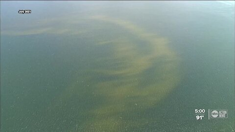 Red Tide is returning to some area beaches