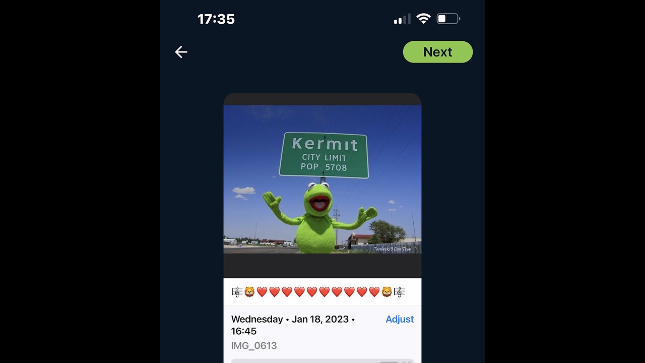 🎼🦁🪧20❤️17🪧🦁🎼