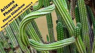 Arizona Phoenix Desert Botanical Garden in Papago Park 9 Photography slideshow