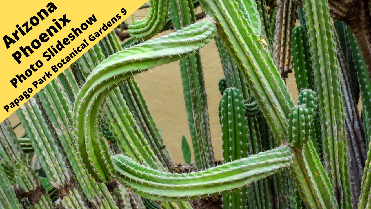 Arizona Phoenix Desert Botanical Garden in Papago Park 9 Photography slideshow