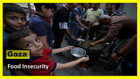 Gaza Food Insecurity