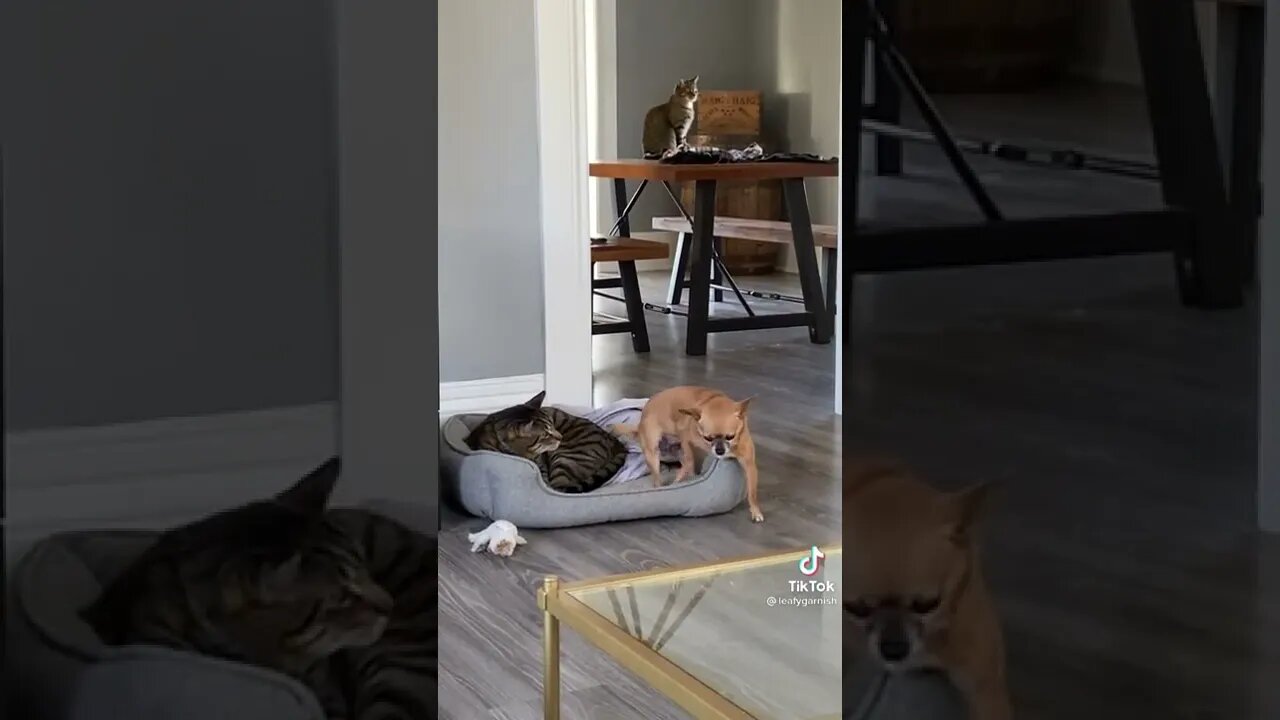 Facing Fears