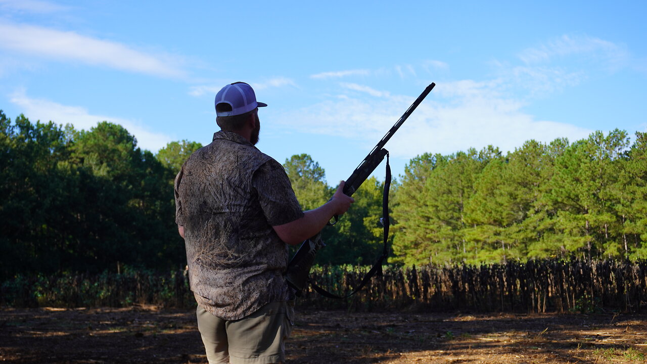 Gear recommended to get into Dove hunting